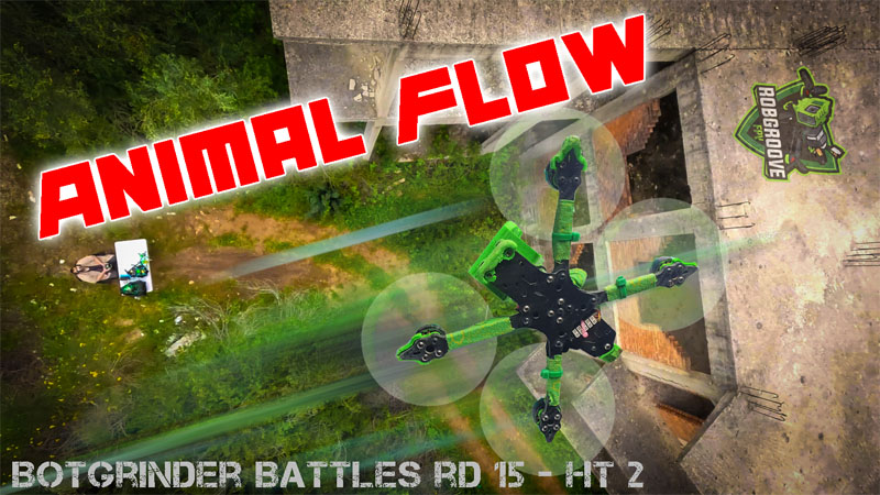 Featured image for “Animal Flow – Botgrinder Battles Semi Final”